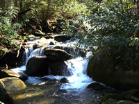 Brook in Roaring Fork in Gatlinburg TN. 