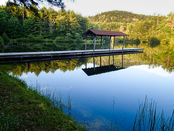 Dense Lake in Dupont State Forest. 