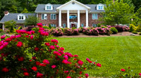 Fun things to do in Hendersonville NC : Northern Lights Bed and Breakfast in Hendersonville NC. 